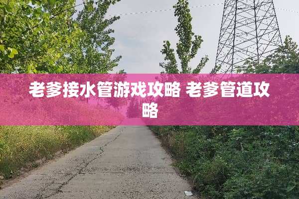 老爹接水管游戏攻略 老爹管道攻略