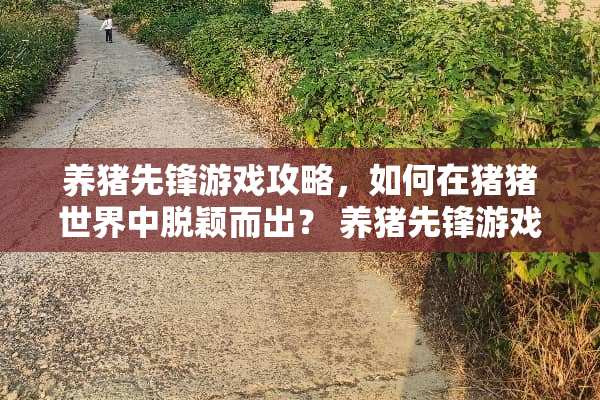 养猪先锋游戏攻略，如何在猪猪世界中脱颖而出？ 养猪先锋游戏攻略