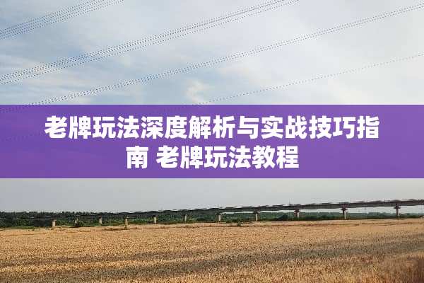 老牌玩法深度解析与实战技巧指南 老牌玩法教程