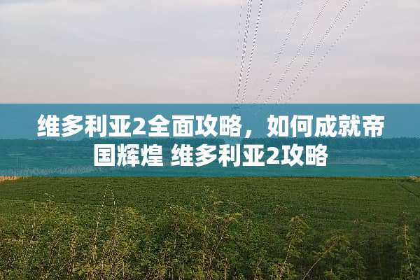 维多利亚2全面攻略，如何成就帝国辉煌 维多利亚2攻略