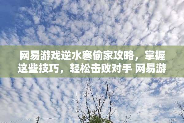 网易游戏逆水寒偷家攻略，掌握这些技巧，轻松击败对手 网易游戏偷家攻略