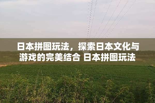 日本拼图玩法，探索日本文化与游戏的完美结合 日本拼图玩法