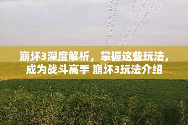 崩坏3深度解析，掌握这些玩法，成为战斗高手 崩坏3玩法介绍