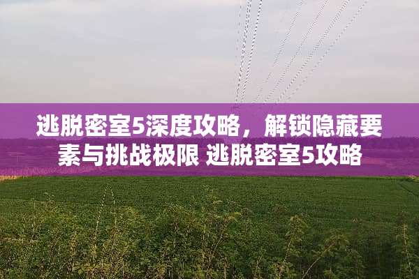 逃脱密室5深度攻略，解锁隐藏要素与挑战极限 逃脱密室5攻略