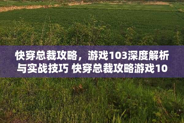 快穿总裁攻略，游戏103深度解析与实战技巧 快穿总裁攻略游戏103