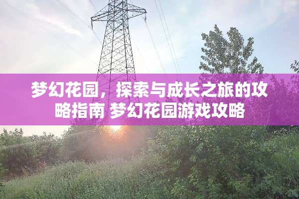 梦幻花园，探索与成长之旅的攻略指南 梦幻花园游戏攻略