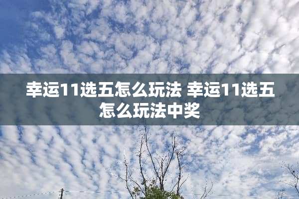 幸运11选五怎么玩法 幸运11选五怎么玩法**