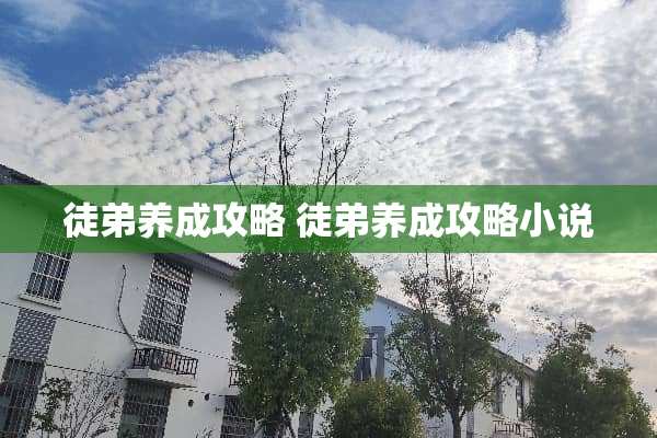 徒弟养成攻略 徒弟养成攻略小说