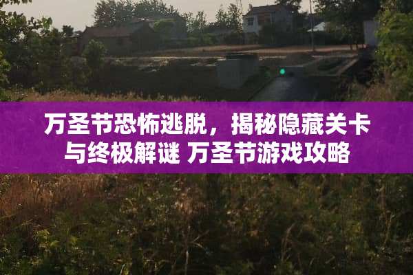 万圣节恐怖逃脱，揭秘隐藏关卡与终极解谜 万圣节游戏攻略