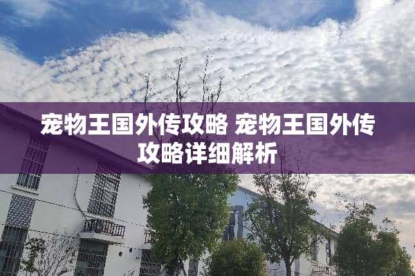 宠物王国外传攻略 宠物王国外传攻略详细解析
