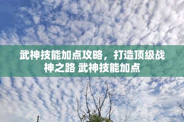 武神技能加点攻略，打造**战神之路 武神技能加点