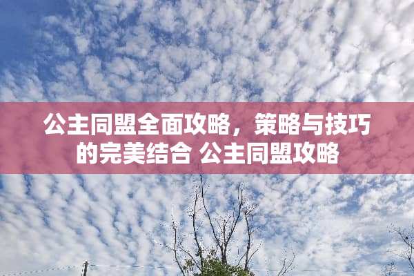 公主同盟全面攻略，策略与技巧的完美结合 公主同盟攻略