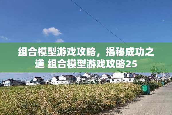 组合模型游戏攻略，揭秘成功之道 组合模型游戏攻略25
