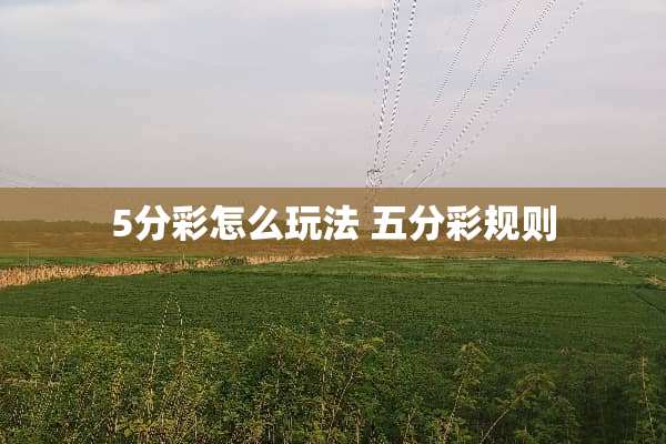 5分彩怎么玩法 五分彩规则