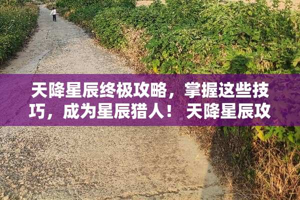 天降星辰终极攻略，掌握这些技巧，成为星辰猎人！ 天降星辰攻略