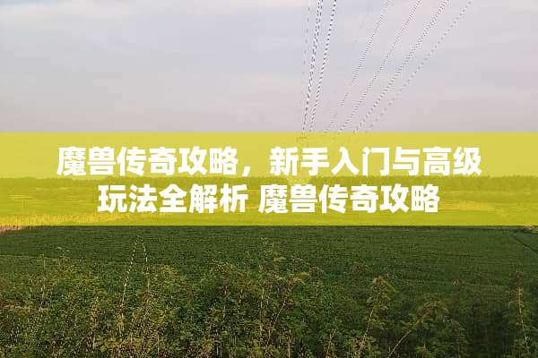 魔兽传奇攻略，新手入门与高级玩法全解析 魔兽传奇攻略
