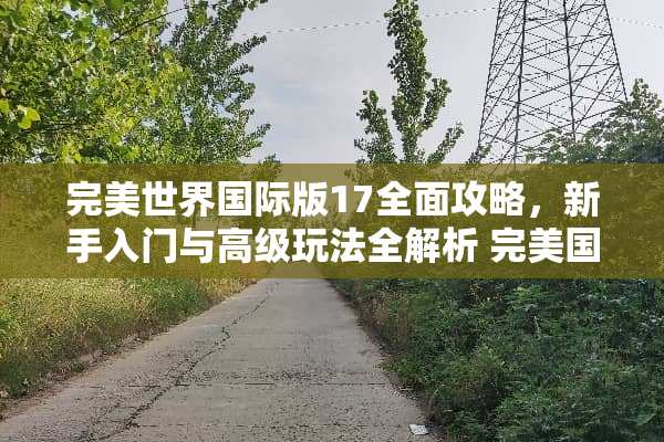 完美世界国际版17全面攻略，新手入门与高级玩法全解析 完美国际17本攻略