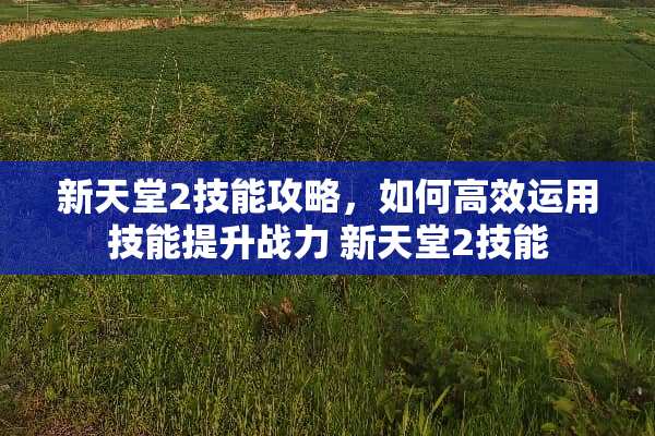 新天堂2技能攻略，如何高效运用技能提升战力 新天堂2技能
