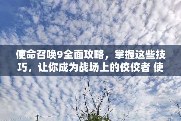 使命召唤9全面攻略，掌握这些技巧，让你成为战场上的佼佼者 使命召唤9攻略