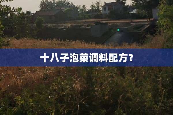 十八子泡菜调料配方？