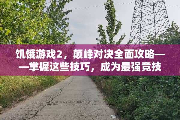 饥饿游戏2，颠峰对决全面攻略——掌握这些技巧，成为最强竞技者 饥饿游戏2颠峰对决攻略