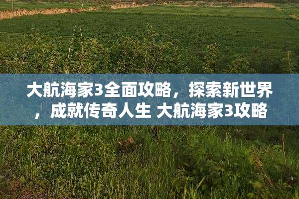 大航海家3全面攻略，探索新世界，成就传奇人生 大航海家3攻略