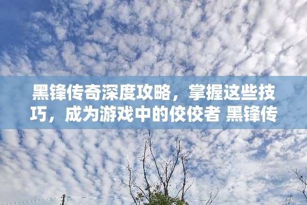 黑锋传奇深度攻略，掌握这些技巧，成为游戏中的佼佼者 黑锋传奇攻略