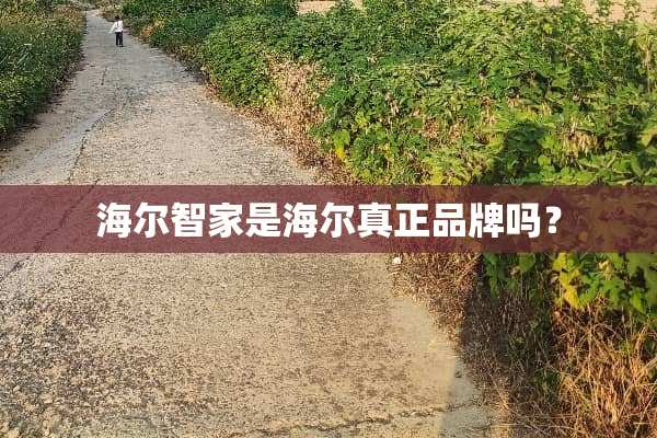 海尔智家是海尔真正品牌吗？