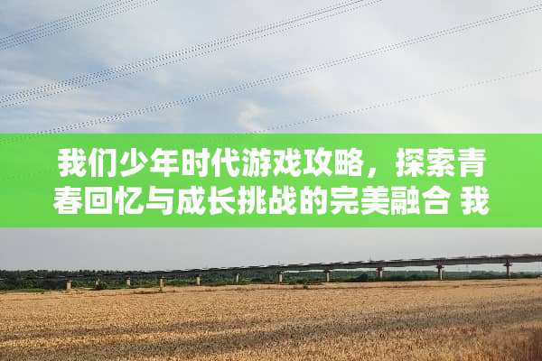 我们少年时代游戏攻略，探索青春回忆与成长挑战的完美融合 我们少年时代游戏攻略