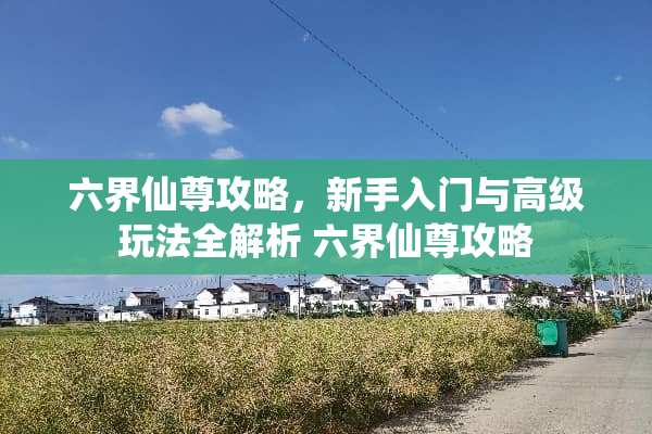 六界仙尊攻略，新手入门与高级玩法全解析 六界仙尊攻略