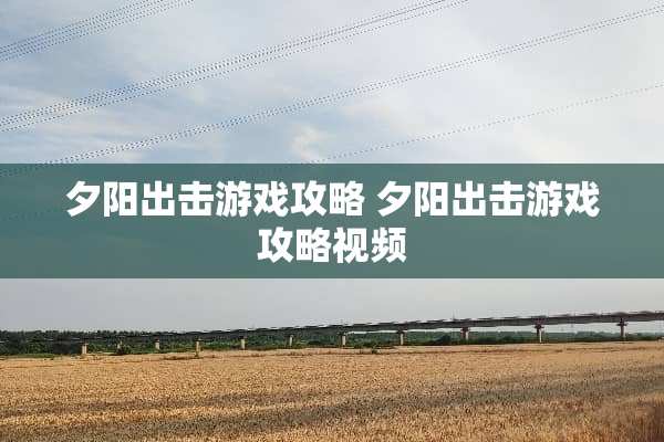 夕阳出击游戏攻略 夕阳出击游戏攻略视频