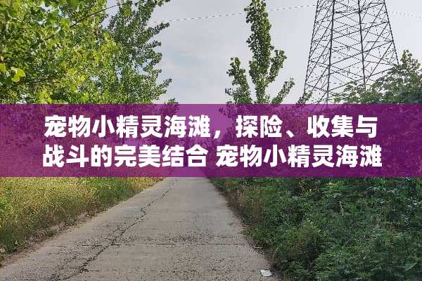 宠物小精灵海滩，探险、收集与战斗的完美结合 宠物小精灵海滩游戏攻略