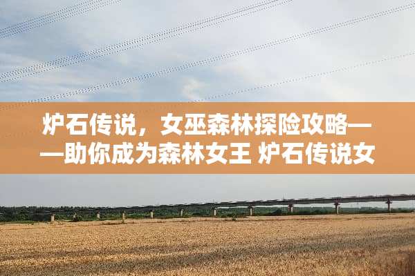 炉石传说，女巫森林探险攻略——助你成为森林女王 炉石传说女巫森林攻略