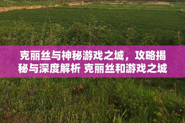 克丽丝与神秘游戏之城，攻略揭秘与深度解析 克丽丝和游戏之城攻略