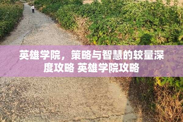 英雄学院，策略与智慧的较量深度攻略 英雄学院攻略