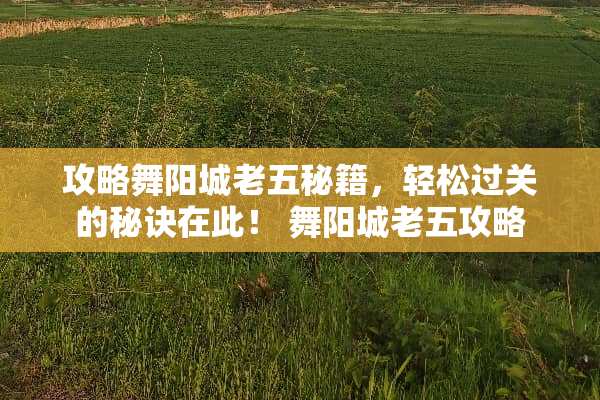 攻略舞阳城老五秘籍，轻松过关的秘诀在此！ 舞阳城老五攻略