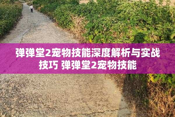 弹弹堂2宠物技能深度解析与实战技巧 弹弹堂2宠物技能