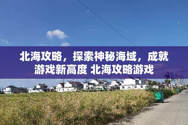 北海攻略，探索神秘海域，成就游戏新高度 北海攻略游戏
