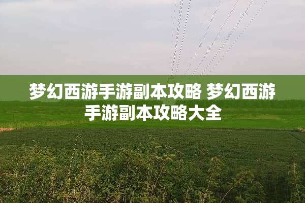梦幻西游手游副本攻略 梦幻西游手游副本攻略大全