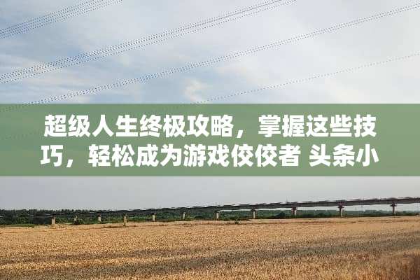 超级人生终极攻略，掌握这些技巧，轻松成为游戏佼佼者 头条小游戏超级人生攻略