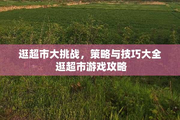 逛超市大挑战，策略与技巧大全 逛超市游戏攻略