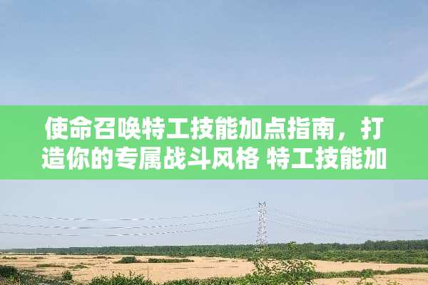 使命召唤特工技能加点指南，打造你的专属战斗风格 特工技能加点