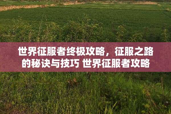世界***终极攻略，征服之路的秘诀与技巧 世界***攻略
