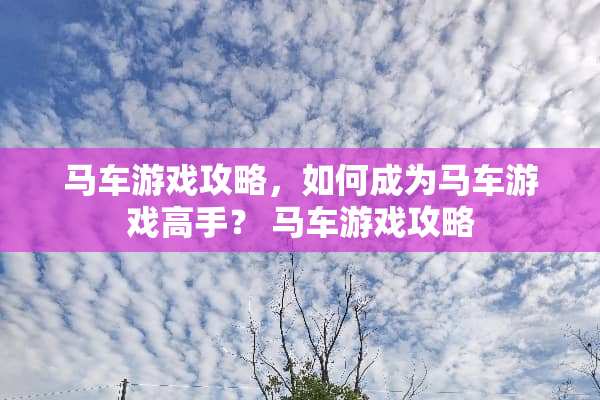 马车游戏攻略，如何成为马车游戏高手？ 马车游戏攻略