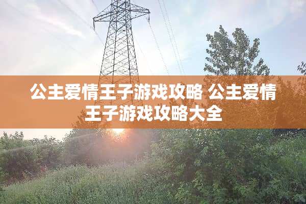 公主爱情王子游戏攻略 公主爱情王子游戏攻略大全