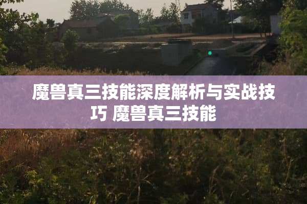魔兽真三技能深度解析与实战技巧 魔兽真三技能