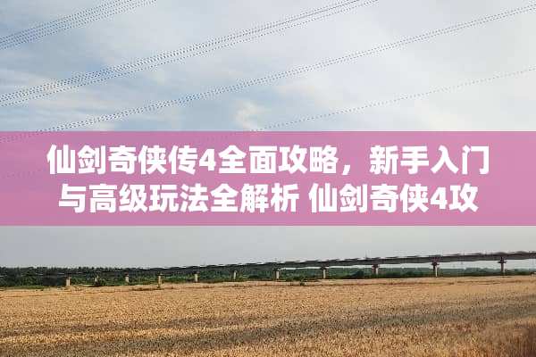 仙剑奇侠传4全面攻略，新手入门与高级玩法全解析 仙剑奇侠4攻略
