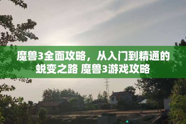 魔兽3全面攻略，从入门到精通的蜕变之路 魔兽3游戏攻略