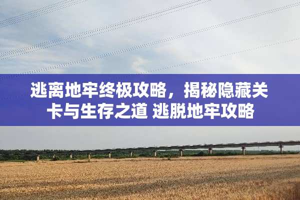 逃离地牢终极攻略，揭秘隐藏关卡与生存之道 逃脱地牢攻略