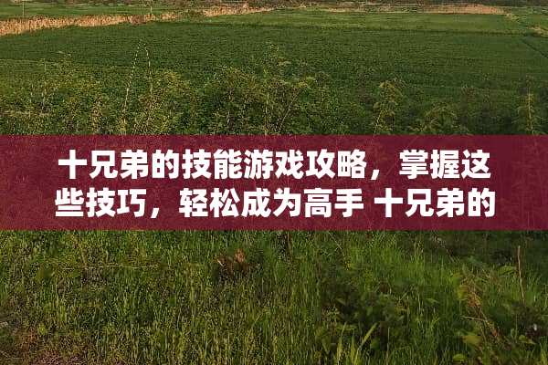 十兄弟的技能游戏攻略，掌握这些技巧，轻松成为高手 十兄弟的技能